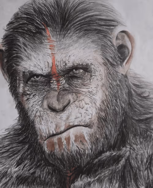 Item #48962084060186019940623196789396244510789399652711377126682244779210124034051 Media