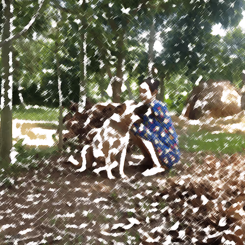 Item #60872619837691221380598772379199687770025926314057253898285761412289502642186 Media