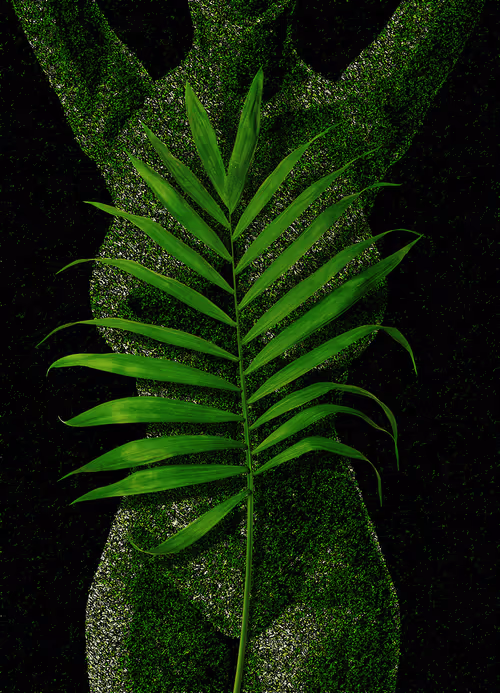 Item #46112105043611252594125813457877058625482088591198264336315505986702472642561 Media