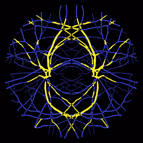 Item #7078802064077755305879053961196844759257248211509687953083586235444529987585 Media