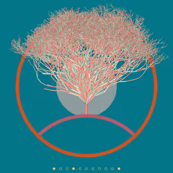 74168867016011539093366687608765447348507224284888477074887989700085480947713