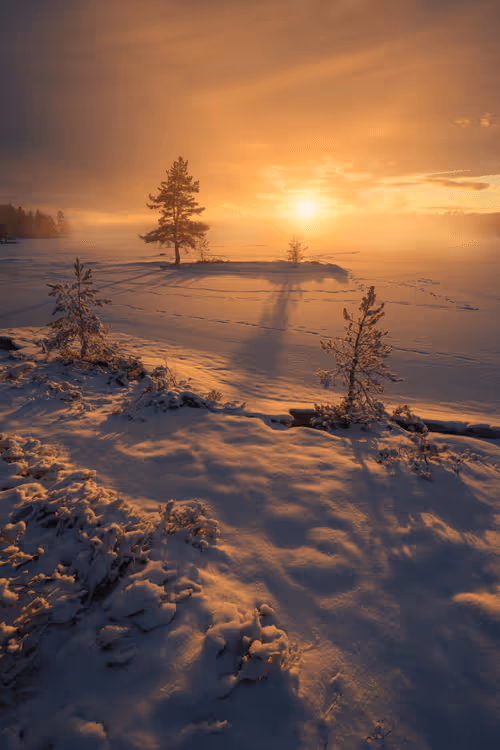 Item #96581077355438815098839991825512832741865857060493476294166675728169527410689 Media