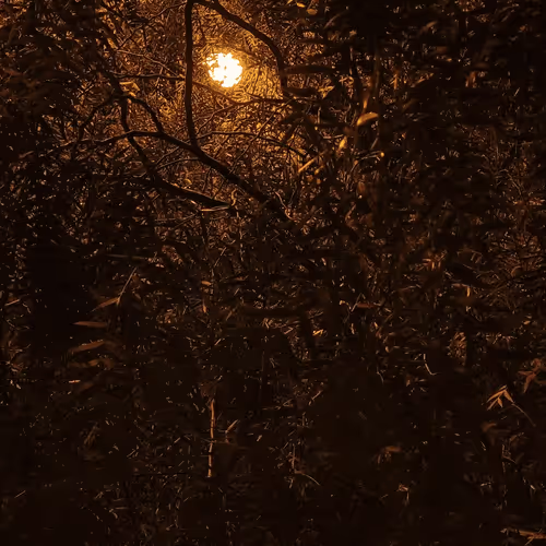 Untitled Collection #273588223