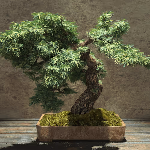 Item #104496985584808197411299000803927756186977529206466580863662692642757583831041 Media