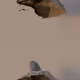 107661232425327740906762007364478422558588861667053094302805196247510170992641