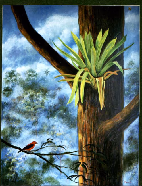 Item #7928560596793748389739041164197052664180491433310560425702145898213753749505 Media