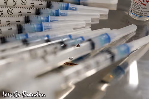 Item #21688527815507990779780435242269546376679550267989735943769101074448223567873 Media