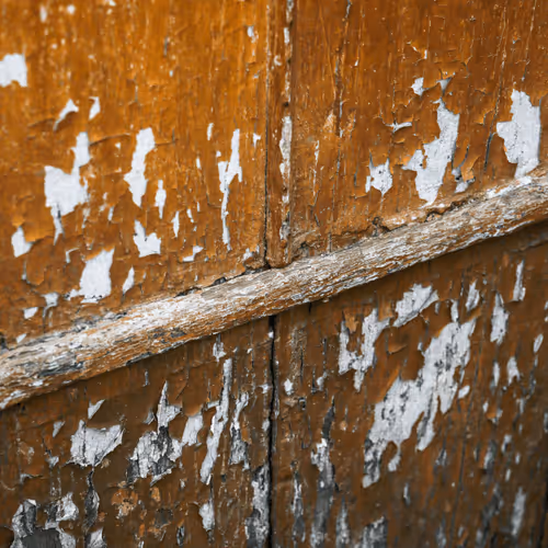 Item #76308435491983099504097783274789726916640920822154394897421291935480422596609 Media