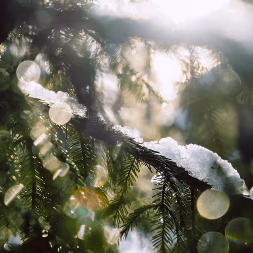 Item #103357970295316058088148646067446465384042318865679672817630305984767462473733 Media