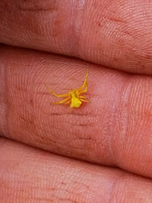 Item #18279368597565041265121237626867746954701071610314993633361532909306800766977 Media