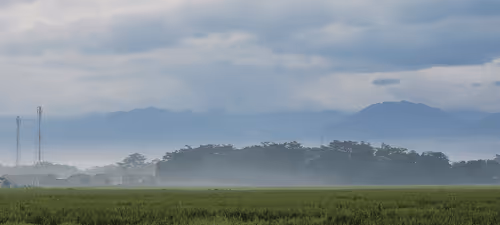 Item #77639649618359044565845836296384692448333239705158820447638111212053362376705 Media