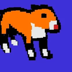 Bull terrier walking gif