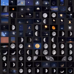 Moonshot #4