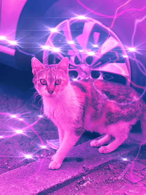 Item #102650025238985064889532626323507420633017859616961165632132730181602129215489 Media