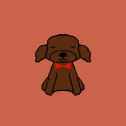 Peachy Poodle #1