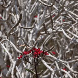 105679162715773690367894814568251153202929894369313826483118647807007113871361