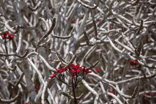 Item #105679162715773690367894814568251153202929894369313826483118647807007113871361 Media