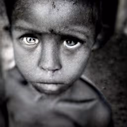 Item #72049616916518097099278558620895369835656421079459708650253790297533177659393 Media