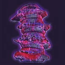 103021099077614825187577421930856695141498909813172536276445923590719919882241