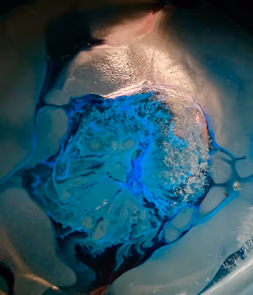 Item #100215834348252495882822669410041435854807957610066919475091088348233823420417 Media