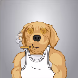 91655410557744893771831586830451060185116832686887291820253906453368026431489