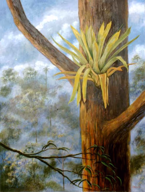 Item #7928560596793748389739041164197052664180491433310560425702145920203986305025 Media