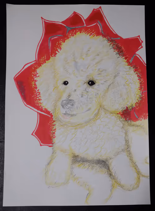 Item #108946143075594583893167060874795433860009959940764157361457036393397360787457 Media