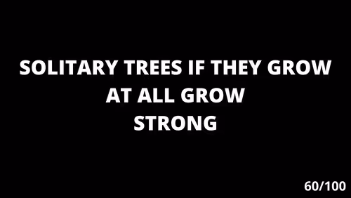 Item #6625399574857412436980933594403624750177012192136678938576509150686311612417 Media