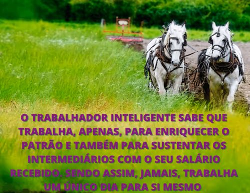 Item #42165497215799268651933513800091680414625417379712449060150830772330168320001 Media