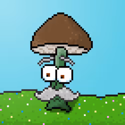 33741781216748986518517832568595493503429706584982134247768926316375002054657