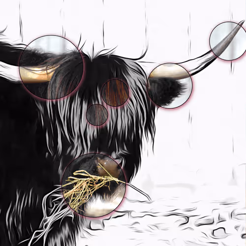 Item #60839276870702459536115980663435026977207856631347422568339333171306639130625 Media