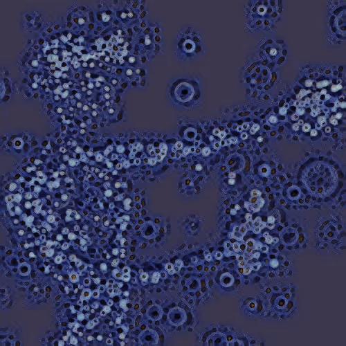 Item #43677637681124857546566976235287214553305943640876348058142639983997120151553 Media