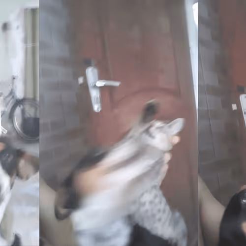 Item #4206968959528382267850550168117913088191590325513865346546053373648504356865 Media