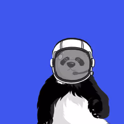 Crypto Panda #3
