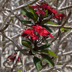 105679162715773690367894814568251153202929894369313826483118647809206137126913