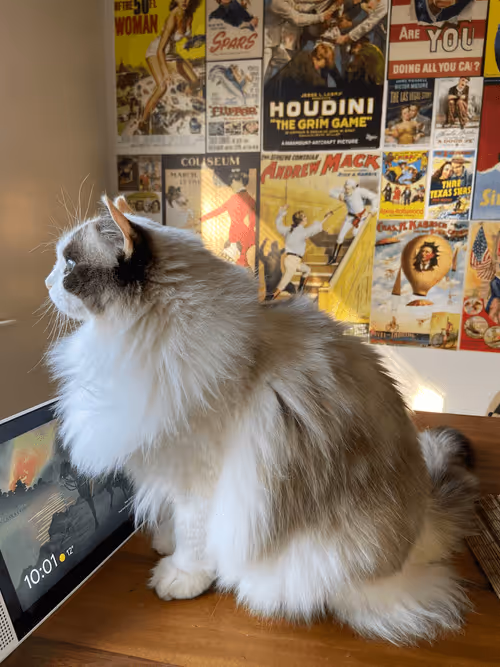 Item #103823190638075684652461829267274249161173063347509023641376403477827241902081 Media