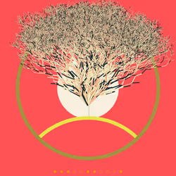 74168867016011539093366687608765447348507224284888477074887990468644108763137