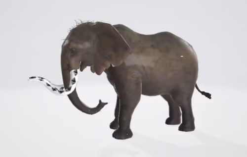 Item #2838413324545898833840226818703974284708354109623229509421485957232436707329 Media