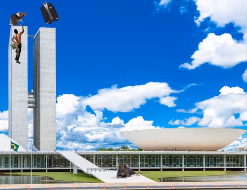 Item #42165497215799268651933513800091680414625417379712449060150830882281331097601 Media