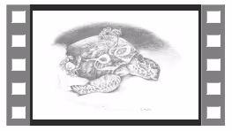 Item #24600310660482288606297797528155087939323639147399647196853483679823190556682 Media