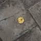 20606594638193961782616267632074913376434958221362708509364622286248487157761