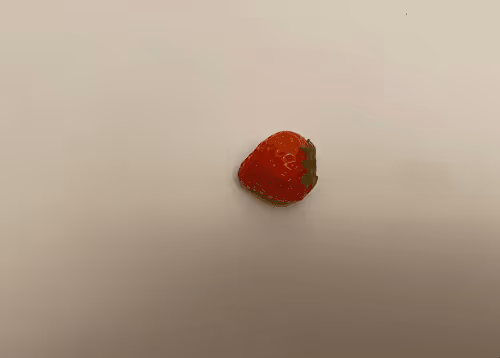 Item #69415303266762783838091346554203331785262091122040620382605275323297366540289 Media