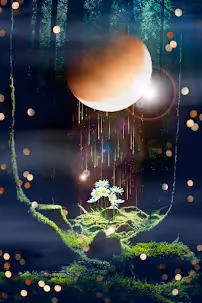 Item #59646891752723899406110743616803786993980577716002236556631688887395332128769 Media