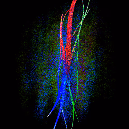 Item #54223942118458018475773761912515880898679735035654901743236843578286724350202 Media