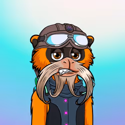 67182258498829374843706483608151563094647588442130083225553784698561858895873