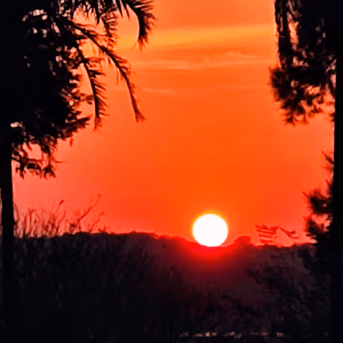 Item #76789129689388299706655966014022744743344792406865654046008114594976144293889 Media