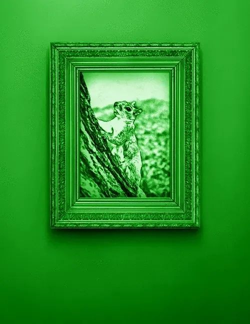 Item #51823728985939034062886243384892974104749538993457925112096062478926559051876 Media