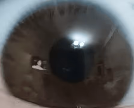 Item #47426366051830314896434954059255545492954759568717124395210264592656067723314 Media