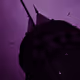 49024306692969423652802597237456810112332865025184876952411343883713906737153