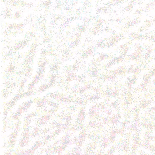 Item #48532066429417975753252471760860058958107322093698988485081806193545441181697 Media